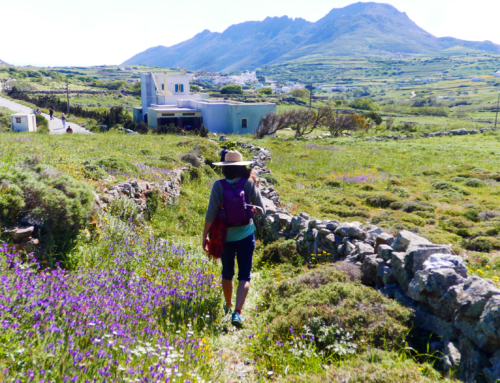 Exciting News: the Via Egnatia and Paths of Greece are featured on the HIKE Project Website!