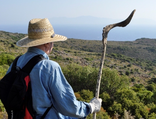 Hiking Accidents in Greece