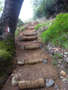 A section with wooden steps at the Poros trails network, built by Paths of Greece