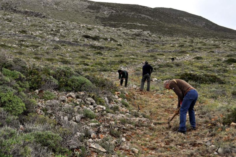 Local workers clearing a trail from vegetation on the island of Kythera