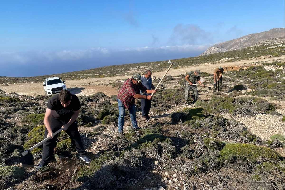 Locals clearing a trail from vegetation and stones on the island of Kasos