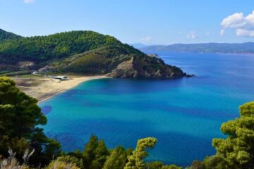 Skiathos beach and forest view from a trail