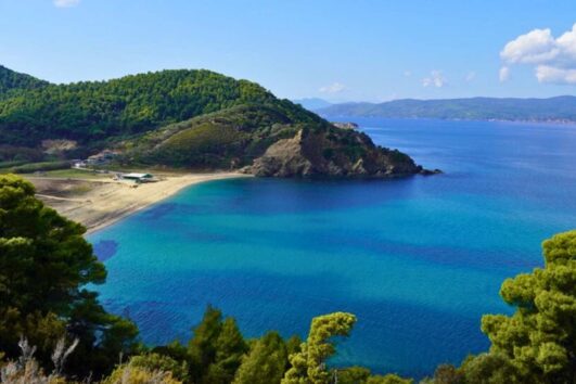 Skiathos beach and forest view from a trail