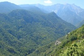 Untamed Olympus: Hiking & Wine Tasting Day Trip