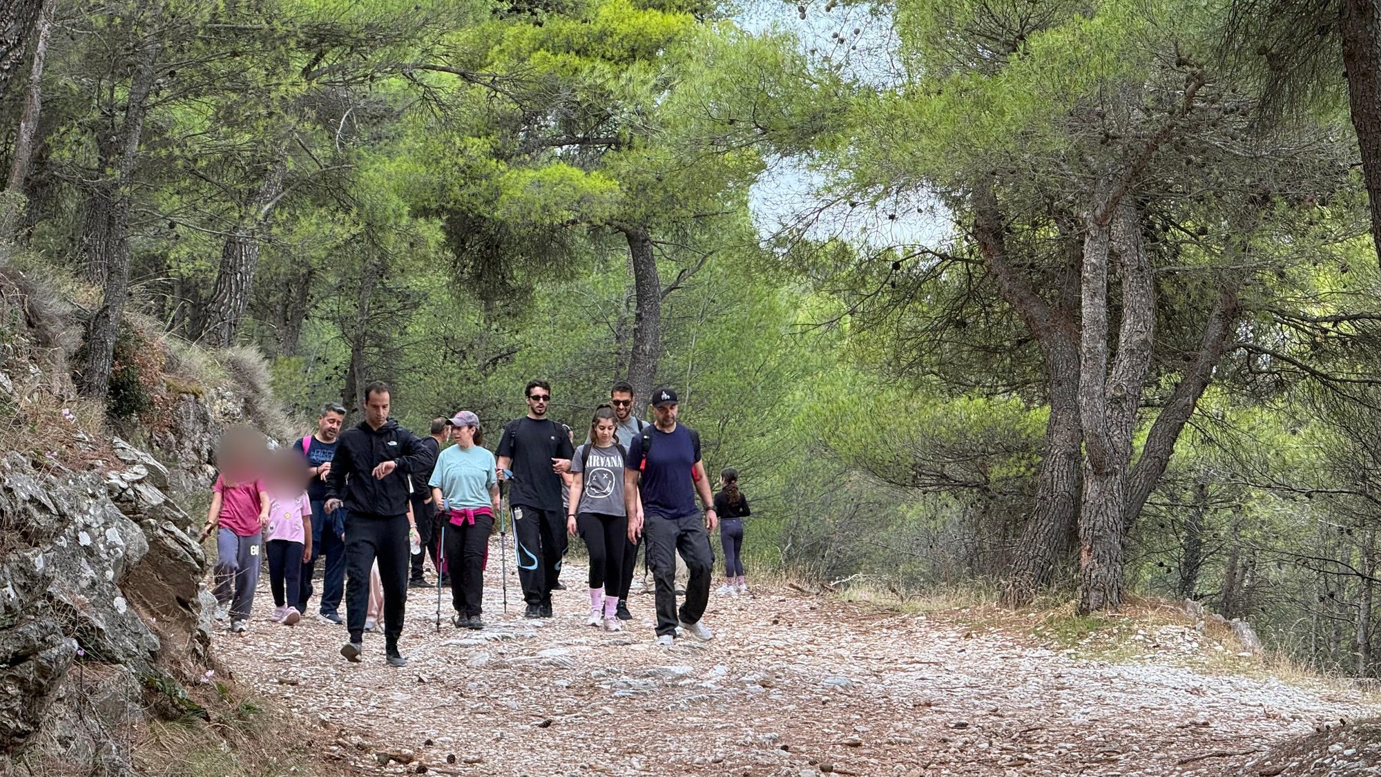 Group of hikers walking along trail D1 in the pine forest of Mount Penteli